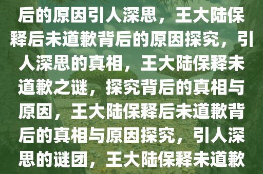 王大陆保释后为何没有道歉？背后的原因引人深思，王大陆保释后未道歉背后的原因探究，引人深思的真相，王大陆保释未道歉之谜，探究背后的真相与原因，王大陆保释后未道歉背后的真相与原因探究，引人深思的谜团，王大陆保释未道歉之谜，真相与原因深度解析