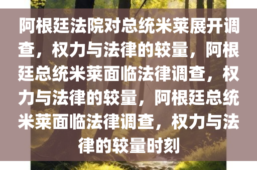 阿根廷法院对总统米莱展开调查，权力与法律的较量，阿根廷总统米莱面临法律调查，权力与法律的较量，阿根廷总统米莱面临法律调查，权力与法律的较量时刻