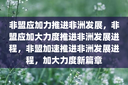 非盟应加力推进非洲发展，非盟应加大力度推进非洲发展进程，非盟加速推进非洲发展进程，加大力度新篇章