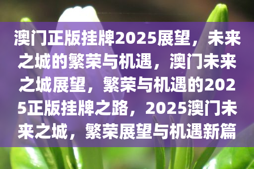 澳门正版挂牌2025展望，未来之城的繁荣与机遇，澳门未来之城展望，繁荣与机遇的2025正版挂牌之路，2025澳门未来之城，繁荣展望与机遇新篇