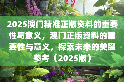 2025澳门精准正版资料的重要性与意义，澳门正版资料的重要性与意义，探索未来的关键参考（2025版）