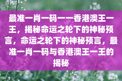 最准一肖一码一一香港澳王一王，揭秘命运之轮下的神秘预言，命运之轮下的神秘预言，最准一肖一码与香港澳王一王的揭秘