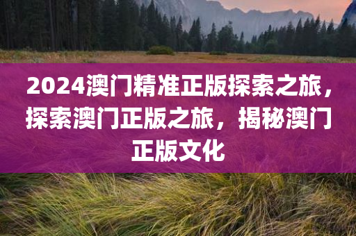 2024澳门精准正版探索之旅，探索澳门正版之旅，揭秘澳门正版文化