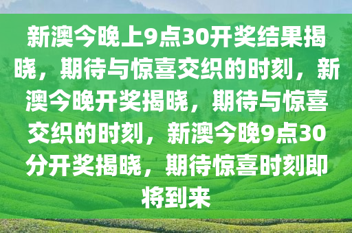 新澳今晚上9点30开奖结果揭晓，期待与惊喜交织的时刻，新澳今晚开奖揭晓，期待与惊喜交织的时刻，新澳今晚9点30分开奖揭晓，期待惊喜时刻即将到来