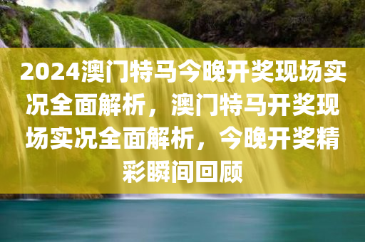 2024澳门特马今晚开奖现场实况全面解析，澳门特马开奖现场实况全面解析，今晚开奖精彩瞬间回顾