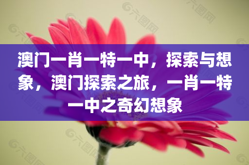 澳门一肖一特一中，探索与想象，澳门探索之旅，一肖一特一中之奇幻想象