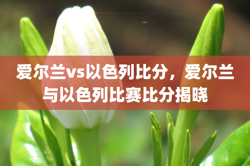 爱尔兰vs以色列比分，爱尔兰与以色列比赛比分揭晓