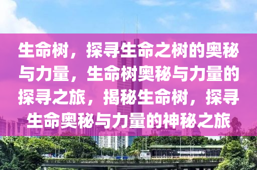 生命树，探寻生命之树的奥秘与力量，生命树奥秘与力量的探寻之旅，揭秘生命树，探寻生命奥秘与力量的神秘之旅