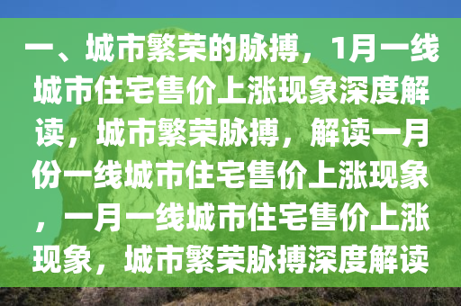 一、城市繁荣的脉搏，1月一线城市住宅售价上涨现象深度解读，城市繁荣脉搏，解读一月份一线城市住宅售价上涨现象，一月一线城市住宅售价上涨现象，城市繁荣脉搏深度解读