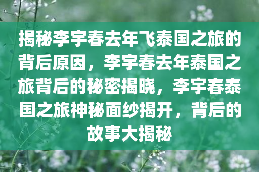 揭秘李宇春去年飞泰国之旅的背后原因，李宇春去年泰国之旅背后的秘密揭晓，李宇春泰国之旅神秘面纱揭开，背后的故事大揭秘