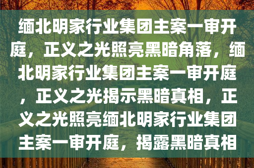 缅北明家行业集团主案一审开庭，正义之光照亮黑暗角落，缅北明家行业集团主案一审开庭，正义之光揭示黑暗真相，正义之光照亮缅北明家行业集团主案一审开庭，揭露黑暗真相