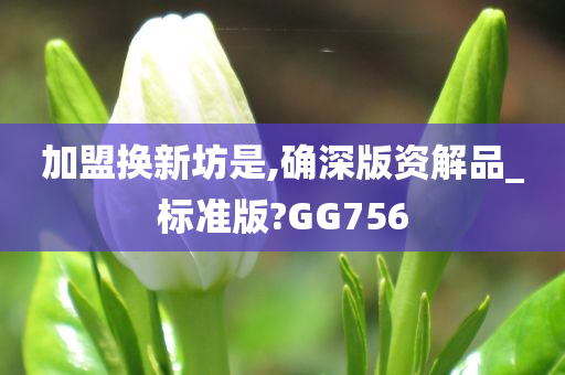 加盟换新坊是,确深版资解品_标准版?GG756