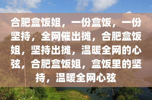 合肥盒饭姐，一份盒饭，一份坚持，全网催出摊，合肥盒饭姐，坚持出摊，温暖全网的心弦，合肥盒饭姐，盒饭里的坚持，温暖全网心弦