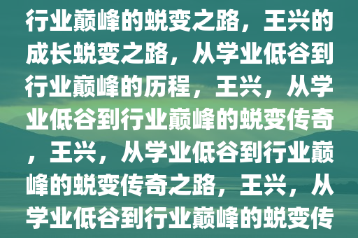 王兴兴说自己小时候成绩很烂