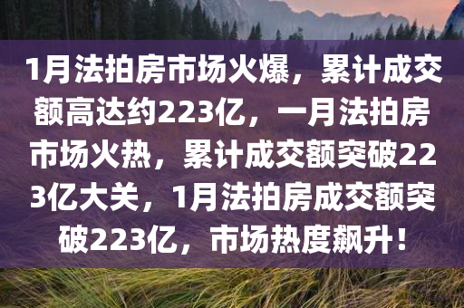 1月法拍房市场火爆，累计成交额高达约223亿，一月法拍房市场火热，累计成交额突破223亿大关，1月法拍房成交额突破223亿，市场热度飙升！