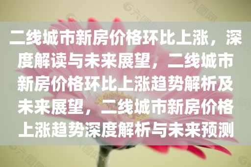 二线城市新房价格环比上涨，深度解读与未来展望，二线城市新房价格环比上涨趋势解析及未来展望，二线城市新房价格上涨趋势深度解析与未来预测