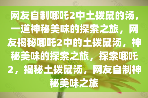 网友自制哪吒2中土拨鼠的汤，一道神秘美味的探索之旅，网友揭秘哪吒2中的土拨鼠汤，神秘美味的探索之旅，探索哪吒2，揭秘土拨鼠汤，网友自制神秘美味之旅