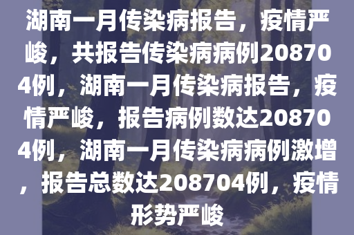 湖南一月传染病报告，疫情严峻，共报告传染病病例208704例，湖南一月传染病报告，疫情严峻，报告病例数达208704例，湖南一月传染病病例激增，报告总数达208704例，疫情形势严峻