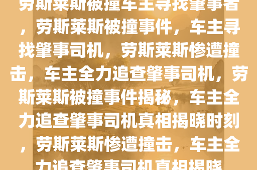 劳斯莱斯被撞车主寻找肇事者，劳斯莱斯被撞事件，车主寻找肇事司机，劳斯莱斯惨遭撞击，车主全力追查肇事司机，劳斯莱斯被撞事件揭秘，车主全力追查肇事司机真相揭晓时刻，劳斯莱斯惨遭撞击，车主全力追查肇事司机真相揭晓