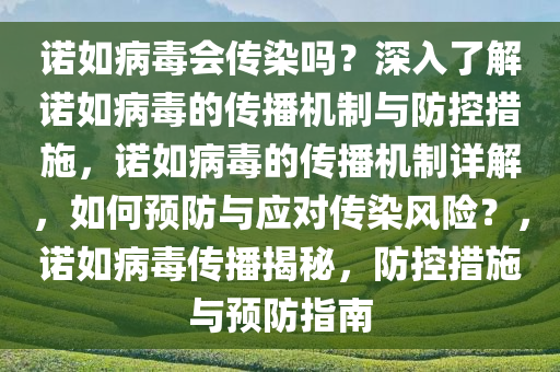 诺如病毒会传染吗？深入了解诺如病毒的传播机制与防控措施，诺如病毒的传播机制详解，如何预防与应对传染风险？，诺如病毒传播揭秘，防控措施与预防指南