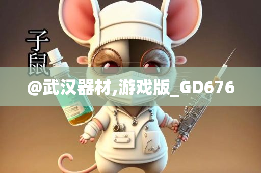 @武汉器材,游戏版_GD676