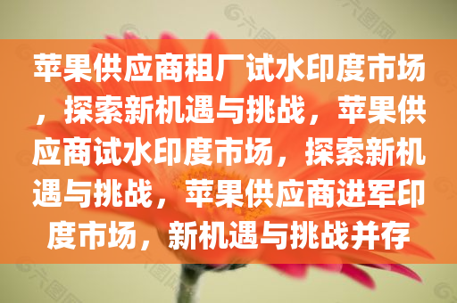 苹果供应商租厂试水印度市场，探索新机遇与挑战，苹果供应商试水印度市场，探索新机遇与挑战，苹果供应商进军印度市场，新机遇与挑战并存