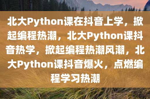 北大Python课在抖音上学，掀起编程热潮，北大Python课抖音热学，掀起编程热潮风潮，北大Python课抖音爆火，点燃编程学习热潮