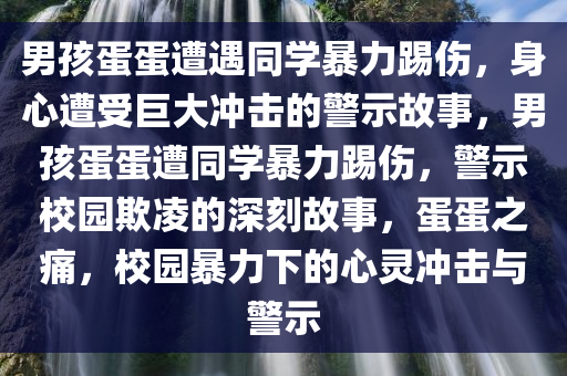 男孩蛋蛋遭遇同学暴力踢伤，身心遭受巨大冲击的警示故事，男孩蛋蛋遭同学暴力踢伤，警示校园欺凌的深刻故事，蛋蛋之痛，校园暴力下的心灵冲击与警示