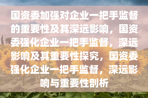 国资委加强对企业一把手监督的重要性及其深远影响，国资委强化企业一把手监督，深远影响及其重要性探究，国资委强化企业一把手监督，深远影响与重要性剖析