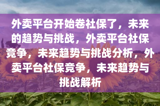 外卖平台开始卷社保了，未来的趋势与挑战，外卖平台社保竞争，未来趋势与挑战分析，外卖平台社保竞争，未来趋势与挑战解析