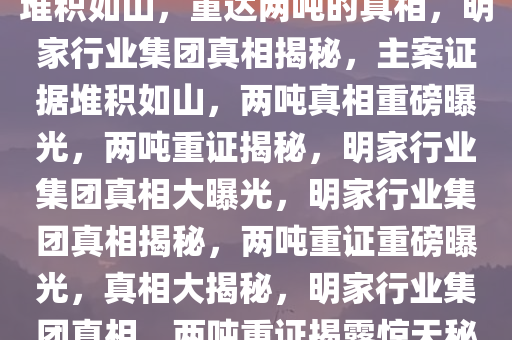 揭秘明家行业集团，主案证据堆积如山，重达两吨的真相，明家行业集团真相揭秘，主案证据堆积如山，两吨真相重磅曝光，两吨重证揭秘，明家行业集团真相大曝光，明家行业集团真相揭秘，两吨重证重磅曝光，真相大揭秘，明家行业集团真相，两吨重证揭露惊天秘密