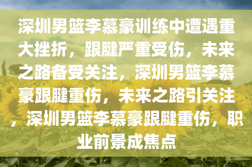 深圳男篮李慕豪训练中遭遇重大挫折，跟腱严重受伤，未来之路备受关注，深圳男篮李慕豪跟腱重伤，未来之路引关注，深圳男篮李慕豪跟腱重伤，职业前景成焦点