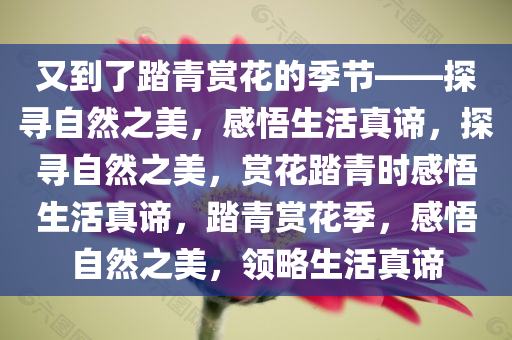 又到了踏青赏花的季节——探寻自然之美，感悟生活真谛，探寻自然之美，赏花踏青时感悟生活真谛，踏青赏花季，感悟自然之美，领略生活真谛