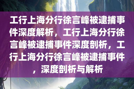 工行上海分行徐言峰被逮捕事件深度解析，工行上海分行徐言峰被逮捕事件深度剖析，工行上海分行徐言峰被逮捕事件，深度剖析与解析