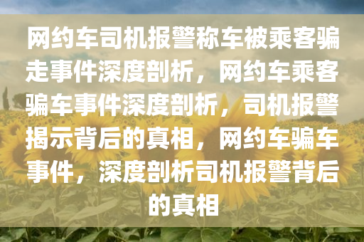 网约车司机报警称车被乘客骗走事件深度剖析，网约车乘客骗车事件深度剖析，司机报警揭示背后的真相，网约车骗车事件，深度剖析司机报警背后的真相