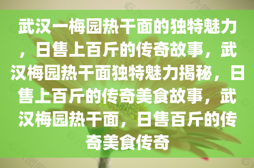 武汉一梅园热干面的独特魅力，日售上百斤的传奇故事，武汉梅园热干面独特魅力揭秘，日售上百斤的传奇美食故事，武汉梅园热干面，日售百斤的传奇美食传奇