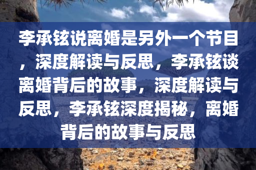 李承铉说离婚是另外一个节目，深度解读与反思，李承铉谈离婚背后的故事，深度解读与反思，李承铉深度揭秘，离婚背后的故事与反思