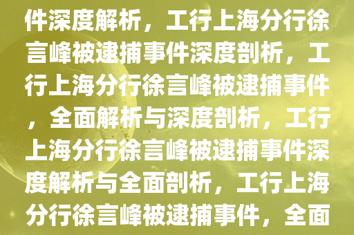 工行上海分行徐言峰被逮捕事件深度解析，工行上海分行徐言峰被逮捕事件深度剖析，工行上海分行徐言峰被逮捕事件，全面解析与深度剖析，工行上海分行徐言峰被逮捕事件深度解析与全面剖析，工行上海分行徐言峰被逮捕事件，全面深度解析与剖析