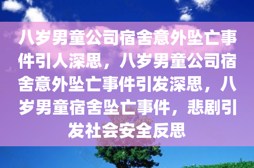 八岁男童公司宿舍意外坠亡事件引人深思，八岁男童公司宿舍意外坠亡事件引发深思，八岁男童宿舍坠亡事件，悲剧引发社会安全反思