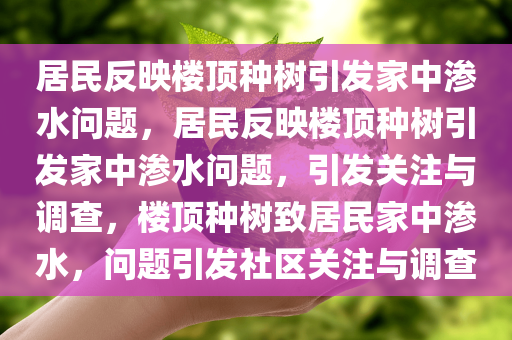 居民反映楼顶种树引发家中渗水问题，居民反映楼顶种树引发家中渗水问题，引发关注与调查，楼顶种树致居民家中渗水，问题引发社区关注与调查