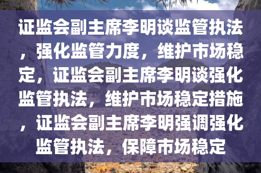 证监会副主席李明谈监管执法，强化监管力度，维护市场稳定，证监会副主席李明谈强化监管执法，维护市场稳定措施，证监会副主席李明强调强化监管执法，保障市场稳定