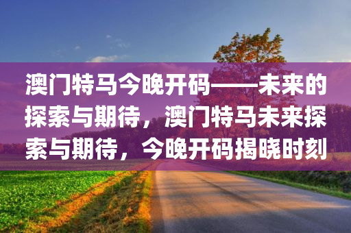 澳门特马今晚开码——未来的探索与期待，澳门特马未来探索与期待，今晚开码揭晓时刻