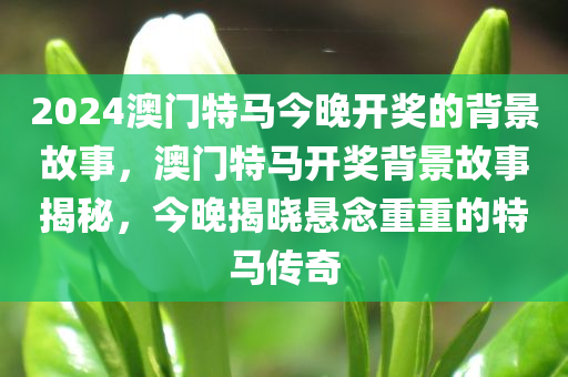 2024澳门特马今晚开奖的背景故事，澳门特马开奖背景故事揭秘，今晚揭晓悬念重重的特马传奇