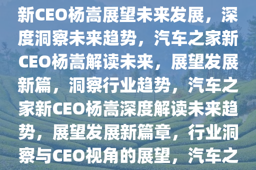 汽车之家新CEO杨嵩的表态，未来展望与深度洞察，汽车之家新CEO杨嵩展望未来发展，深度洞察未来趋势，汽车之家新CEO杨嵩解读未来，展望发展新篇，洞察行业趋势，汽车之家新CEO杨嵩深度解读未来趋势，展望发展新篇章，行业洞察与CEO视角的展望，汽车之家新CEO杨嵩，深度解读未来趋势，展望行业新篇章