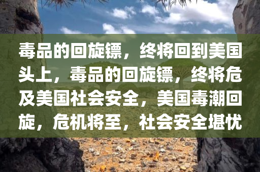 毒品的回旋镖，终将回到美国头上，毒品的回旋镖，终将危及美国社会安全，美国毒潮回旋，危机将至，社会安全堪忧