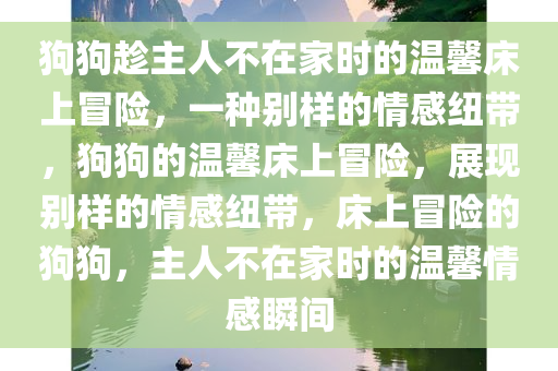 狗狗趁主人不在家时的温馨床上冒险，一种别样的情感纽带，狗狗的温馨床上冒险，展现别样的情感纽带，床上冒险的狗狗，主人不在家时的温馨情感瞬间