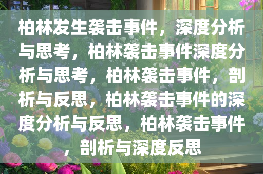 柏林发生袭击事件，深度分析与思考，柏林袭击事件深度分析与思考，柏林袭击事件，剖析与反思，柏林袭击事件的深度分析与反思，柏林袭击事件，剖析与深度反思