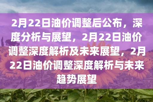 2月22日油价调整后公布，深度分析与展望，2月22日油价调整深度解析及未来展望，2月22日油价调整深度解析与未来趋势展望