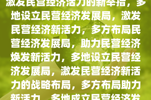 多地新设民营经济发展局——激发民营经济活力的新举措，多地设立民营经济发展局，激发民营经济新活力，多方布局民营经济发展局，助力民营经济焕发新活力，多地设立民营经济发展局，激发民营经济新活力的战略布局，多方布局助力新活力，多地成立民营经济发展局