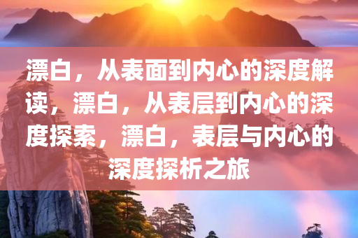 漂白，从表面到内心的深度解读，漂白，从表层到内心的深度探索，漂白，表层与内心的深度探析之旅